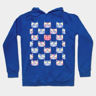 We are watching you. MEOW x4 Hoodie